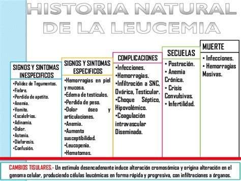 Leucemia Linfoblastica Aguda Leucemia Linfoblastica Factores De Riesgo