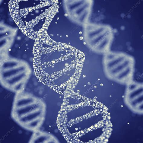 Dna Molecules Illustration Stock Image F025 1112 Science Photo