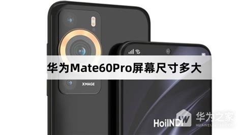 华为mate60pro屏幕尺寸多大 华为mate60pro屏幕尺寸介绍 华为之家