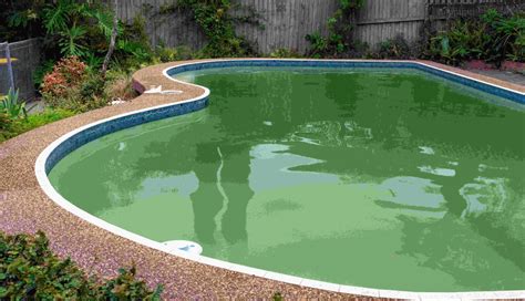 Will Salt Kill Algae In A Pool Answered Salt Water Pool Report