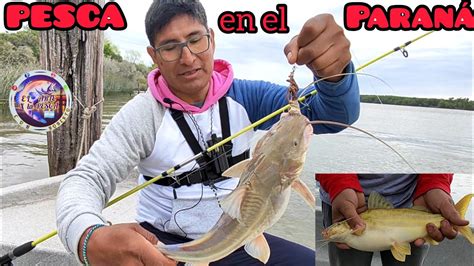 PESCA DE GRANDES AMARILLOS Y MONCHOLOS IMPERDIBLE Con Amigos Pesca