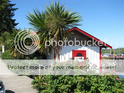 Palm Trees In Ireland Pictures Images And Photos Photobucket