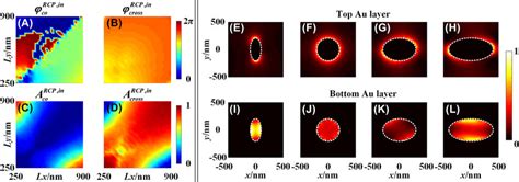 Reflecting Phase And Amplitude Responses Of The Nanopillars With