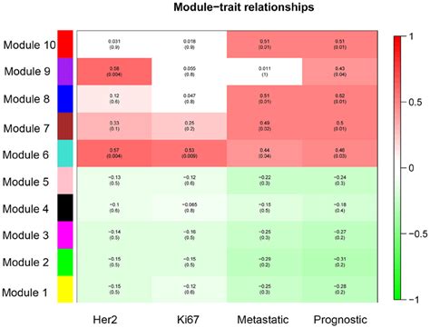 Associations Between Every Module And Clinical Features Download