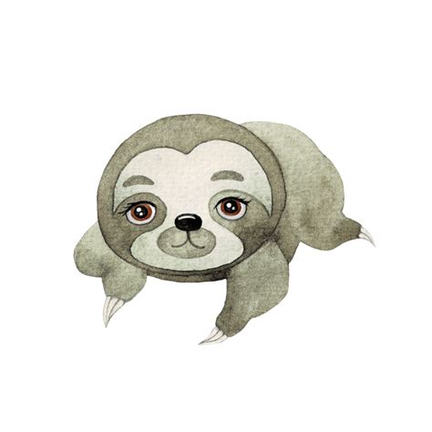 Cute Sloth Watercolor Cute Cartoon Animal Character 25217873 Png