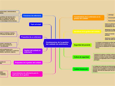 Fundamentos De La Gestion Del Cuidado De Mind Map