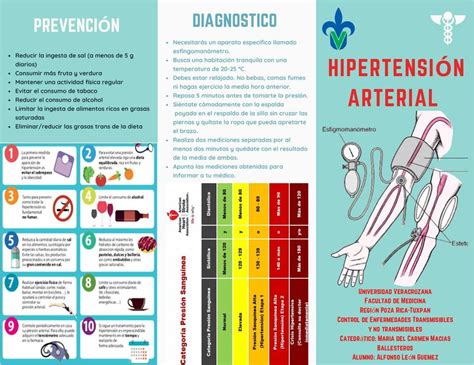 Hipertensión Arterial Medicina Hipertensión Udocz