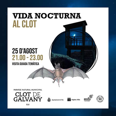 Vida Noctura Al Clot Cambi Dhorari El Clot De Galvany