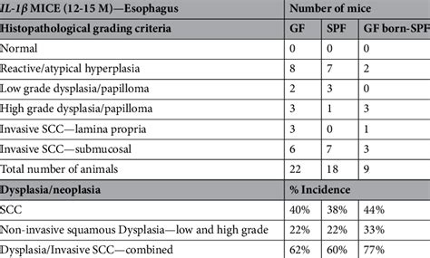 Incidence Of Esophageal Squamous Epithelial Dysplasia And Escc In Il