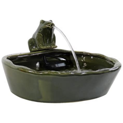 Sunnydaze Frog Glazed Ceramic Outdoor Solar Water Fountain In