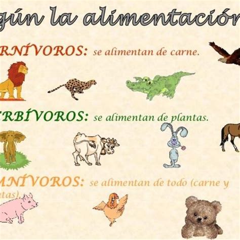 De qué se alimentan los animales Alimentos101