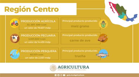 Estas Son Las Regiones Agroalimentarias De México Revista La Campiña