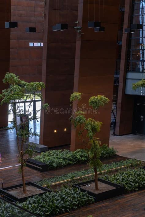 Indoor Trees Modern Interior Design In European Solidarity Centre