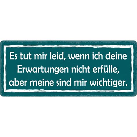 Schild Spruch Tut mir leid wenn ich Erwartungen nicht erfülle 27 x