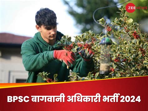 Bpsc Block Horticulture Officer Recruitment 2024 For 318 Posts Know Age Limit And Vacancy Detail