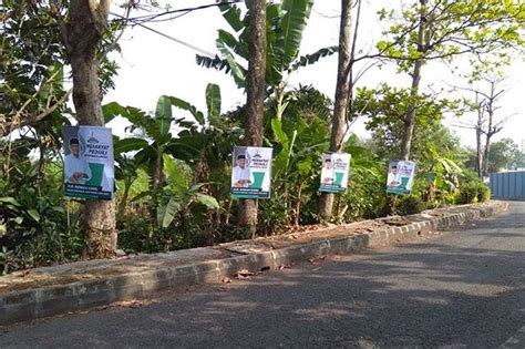 Alat Peraga Dipaku Di Pohon Walhi Jabar Kritik Emil Tak Peduli Lingkungan