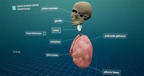 Wirtualny Atlas Anatomiczny