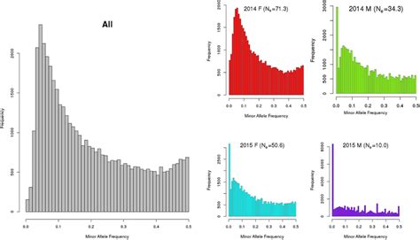 Minor Allele Frequency Distribution Of Combined All And By Year Download Scientific Diagram