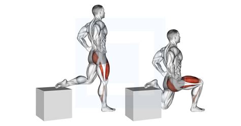 One Leg Squat - Guide, Benefits, and Form