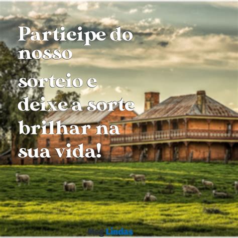 Frase Criativa Para Ganhar Sorteio - Mensagens para Sorteio: Inspire e Engaje com Frases Criativas - Msg Lindas