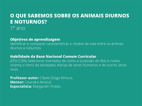 Plano De Aula 1o Ano O QUE SABEMOS SOBRE OS ANIMAIS DIURNOS E NOTURNOS