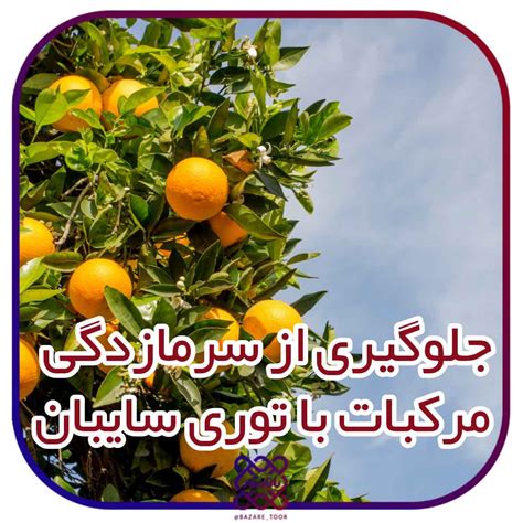 مطالب آموزشی کارخانه آرکاتور