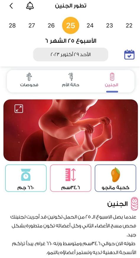 إليكِ أسهل طريقة لـ حساب الحمل بالأسابيع والشهور تطبيق الملكة