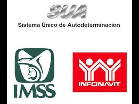 tutorial de como usar el Sistema Único de Autodeterminación SUA sin