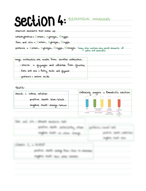 SOLUTION Cie Igcse Biology Section 4 Biological Molecules Studypool