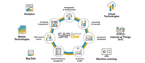 SAP Business One Modules SAP Modules List Cogniscient