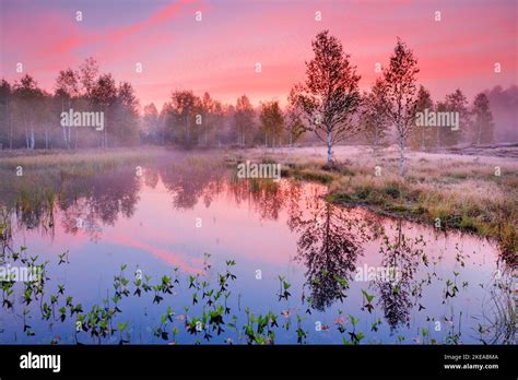 Bei Rosa Verfärbten Morgenhimmel Bilden Sich Nebelwasser Und Spiegeln