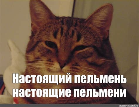 Мем: "Настоящий пельмень настоящие пельмени" - Все шаблоны - Meme ...