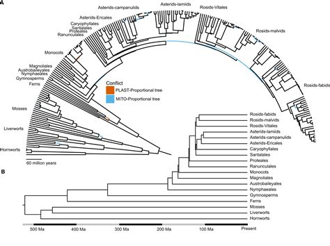 Frontiers Characterizing Conflict And Congruence Of Molecular