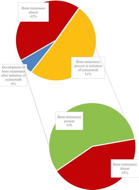 Incidence Of Bone Metastases And Skeletal Related Events In Patients