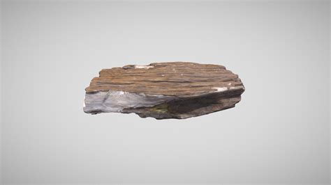 Окаменелое дерево - 3D model by uliashershidskaya [f5c2e6c] - Sketchfab