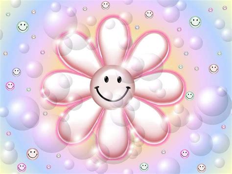 Smiley Daisy Flower Pink Daisy Smiley Hd Wallpaper Peakpx