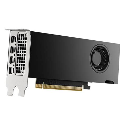 Pny Nvidia Rtx Ada Generation Pro Graphics Card Ldlc Year