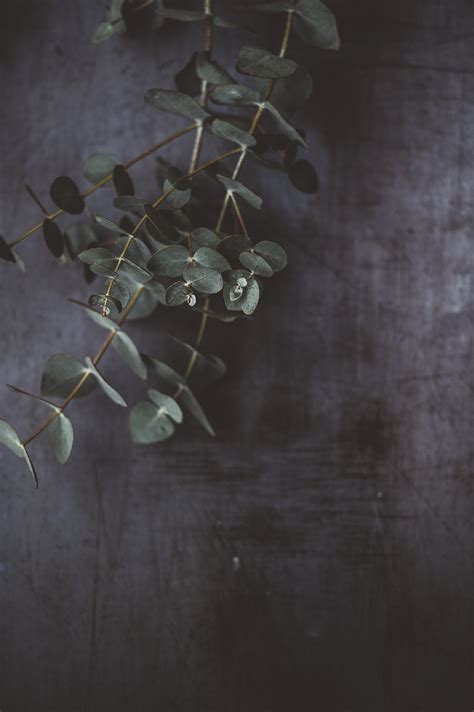 Annie Spratt 533329 Unsplash Collegiate Abbey