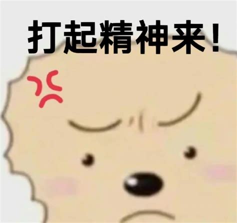 如何备考事业单位考试的职测？ 知乎