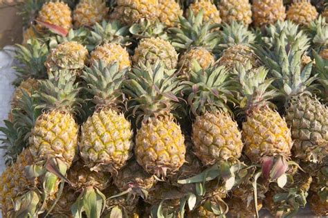 Premium Photo A Pile Of Pineapples With The Word Pineapple On The Top