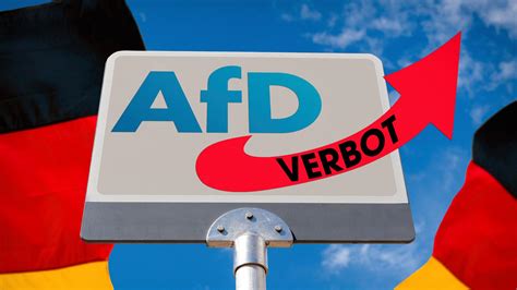 Staatsrechtler Verbotsverfahren gegen einzelne AfD Landesverbände