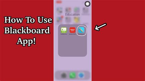 How To Use Blackboard App Seneca College Youtube