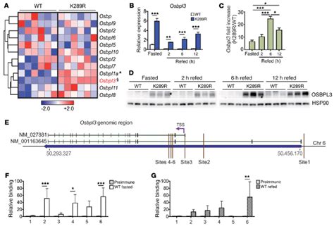 Osbpl3 Is A Direct LRH 1 Target Gene And Overexpressed In LRH 1 K289R