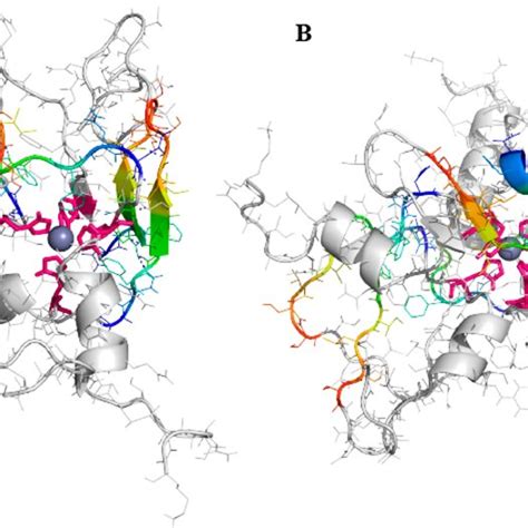 Zinc Coordinated Hiapp Oligomer Representative Structures Of A