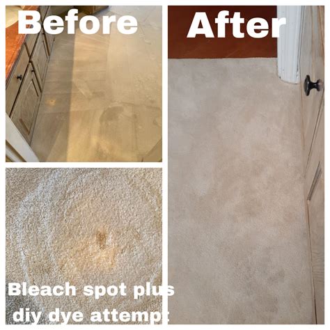 Bleach Spot Dye Repair Revive Carpet Repair Experts