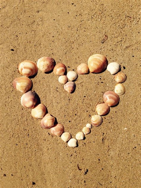 Gratis billeder hav sand elsker hjerte mønster mad fremstille