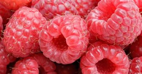 Why Do Raspberries Have Hair Fun Facts Pinterest Hair And