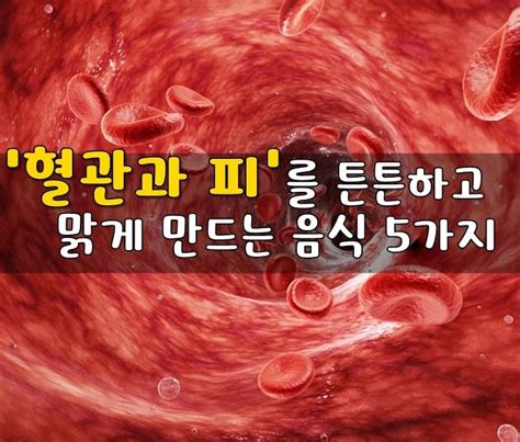 혈관과 피를 튼튼하고 맑게 만드는 음식 5가지 치아 미백 건강식품 건강 음식