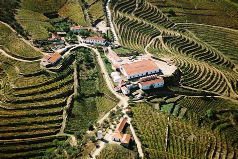 Picture Gallery Quinta De Ventozelo Douro