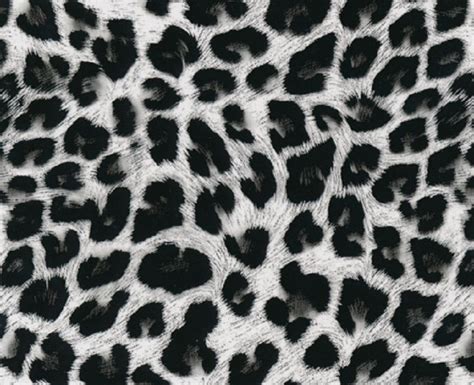 CHEETAH PRINT – Hydrographic Film Supplies